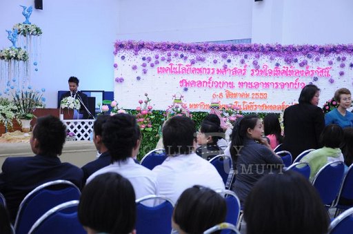 DSC_0086 - Copy (2).JPG